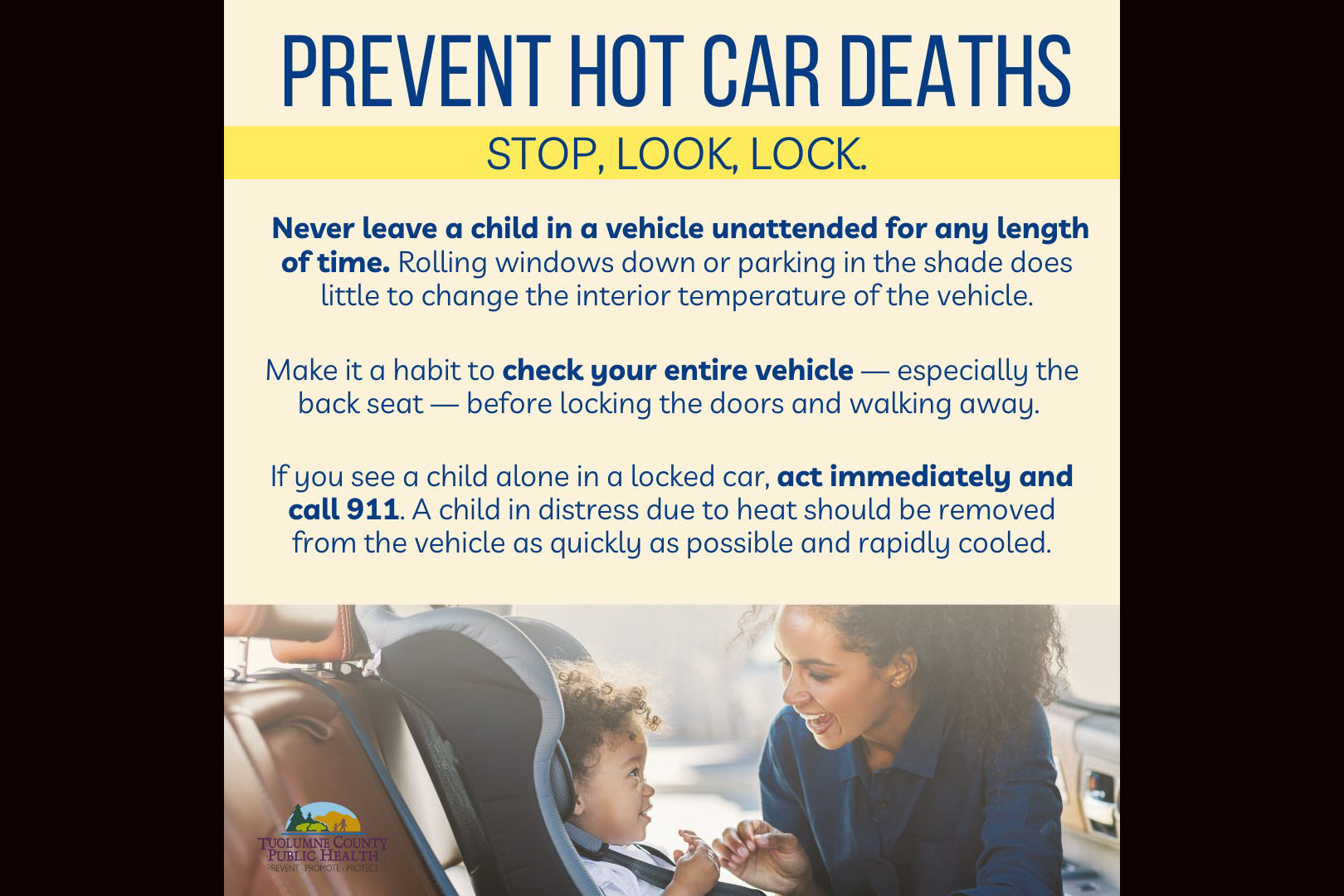 Hot Car Safety
